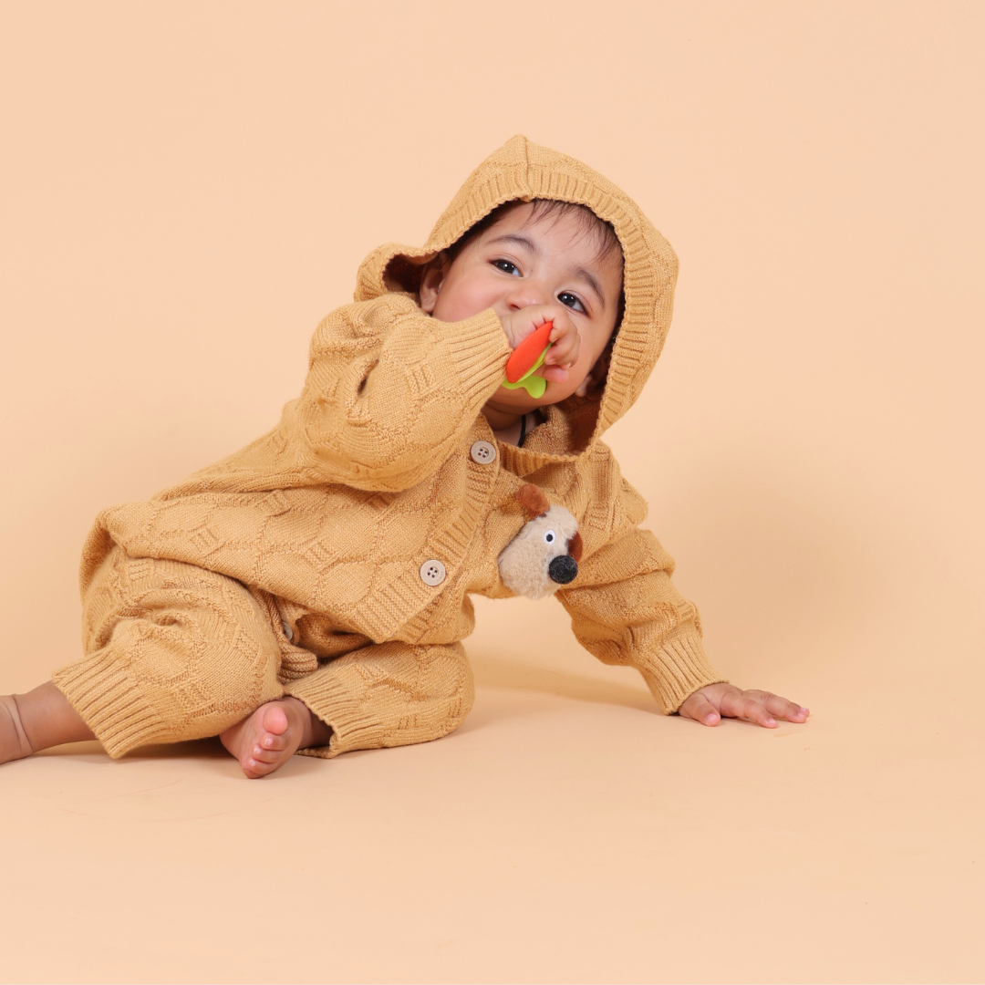Yellow Puppy Hooded Knitted Winter Romper