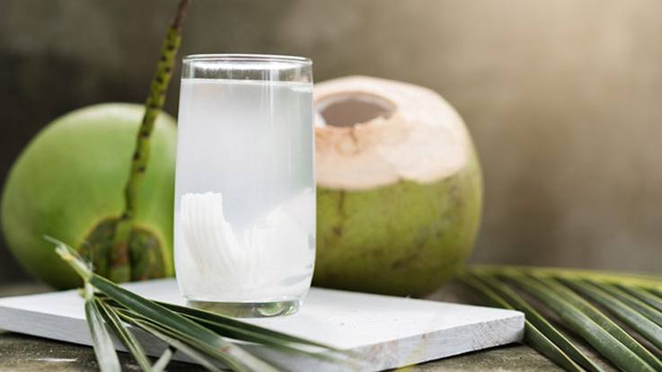 Amazing Benefits of Coconut Water for Babies in Summer – Mama and Peaches