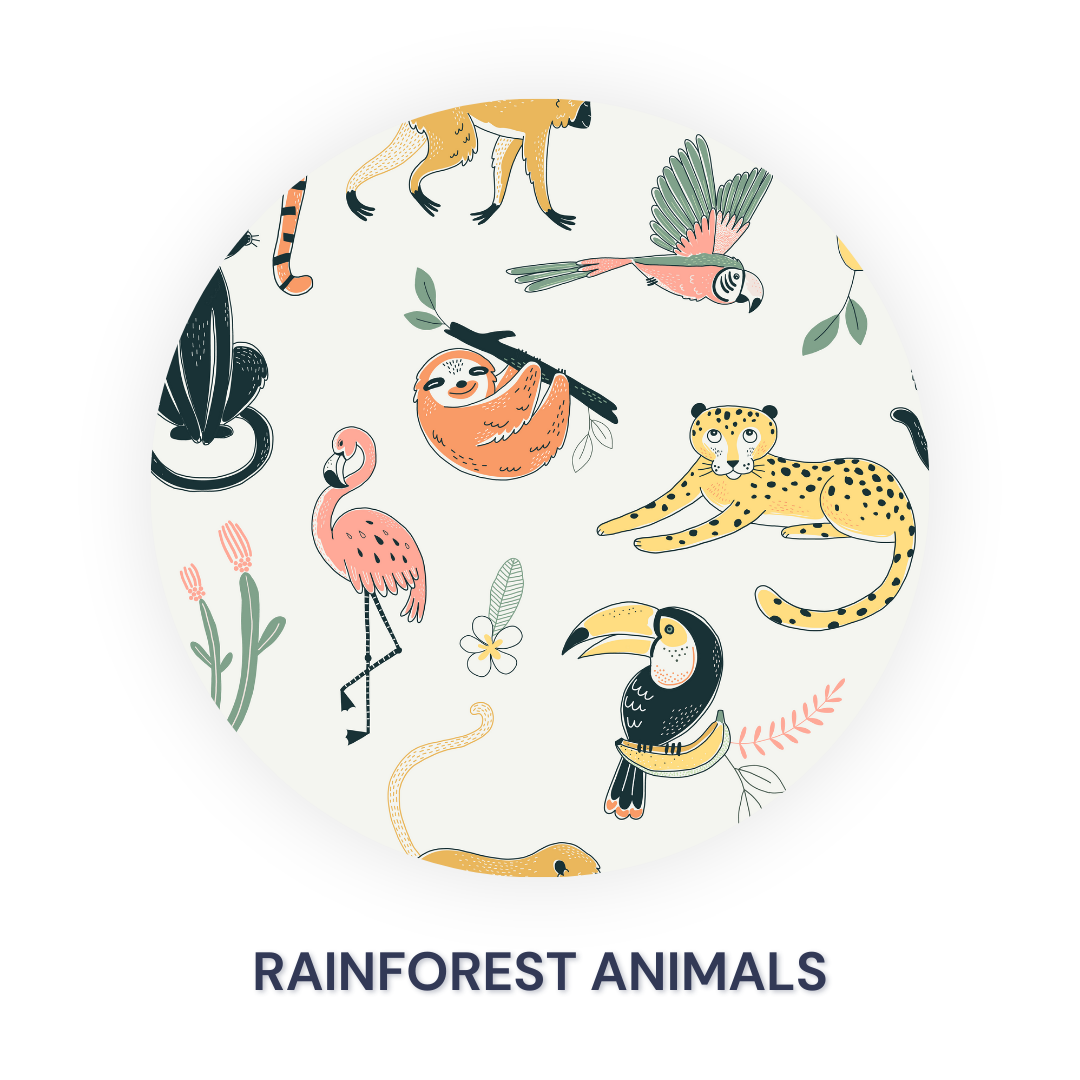 Rainforest Animals Kurta Set