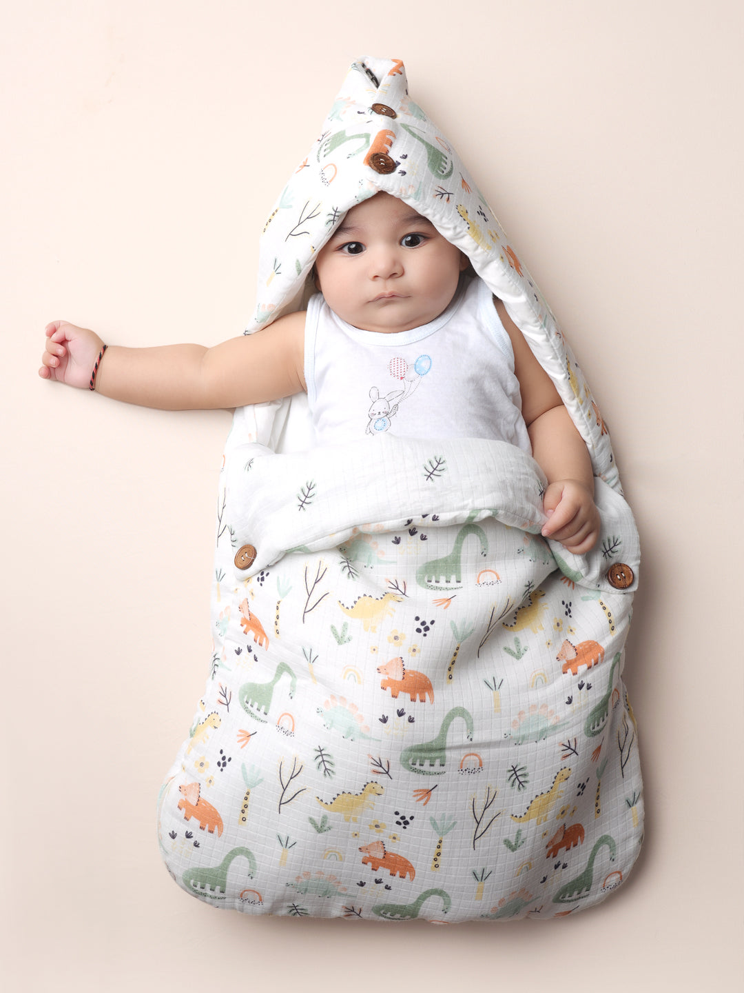 Dinosaur Baby Carry Nest