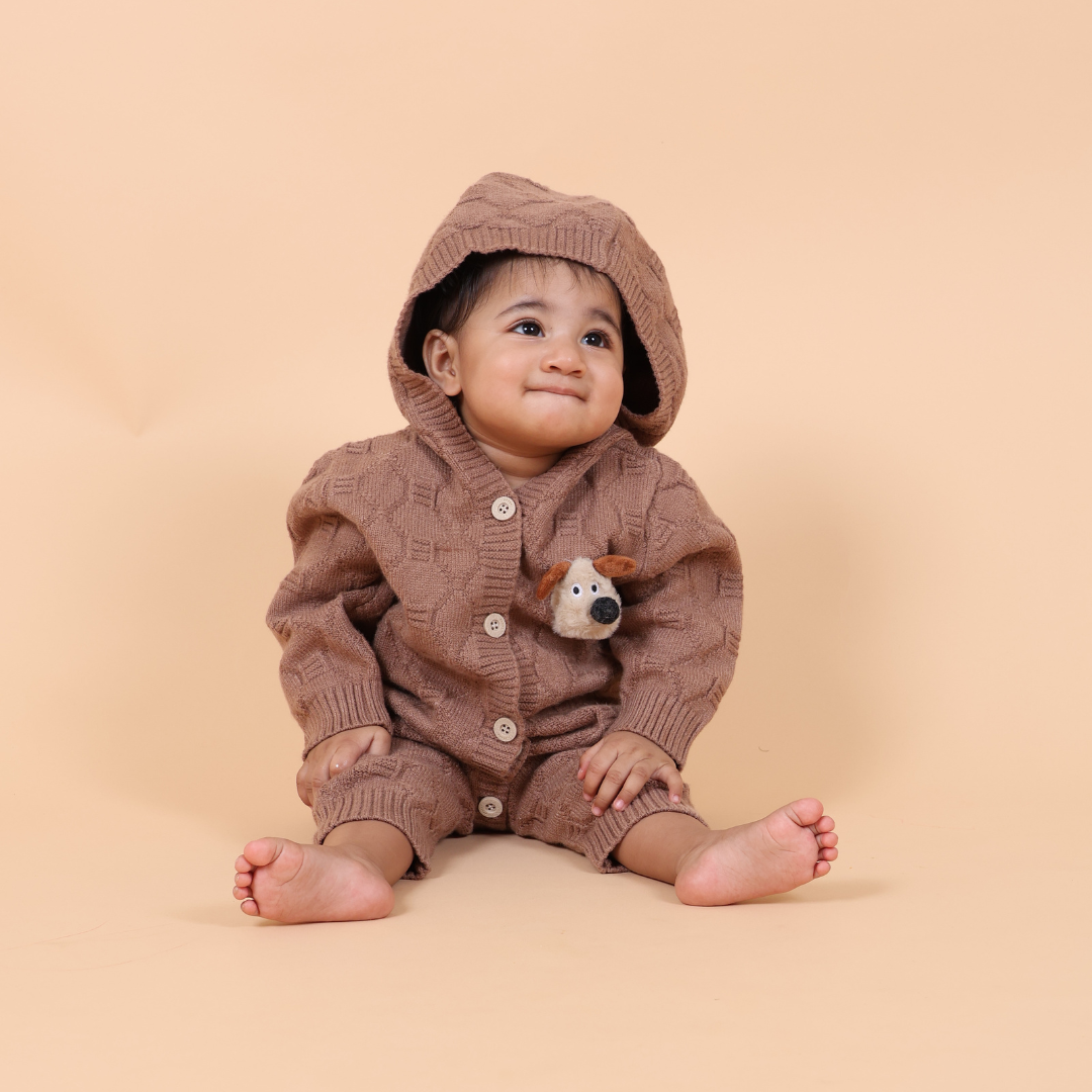 Brown Puppy Hooded Knitted Winter Romper