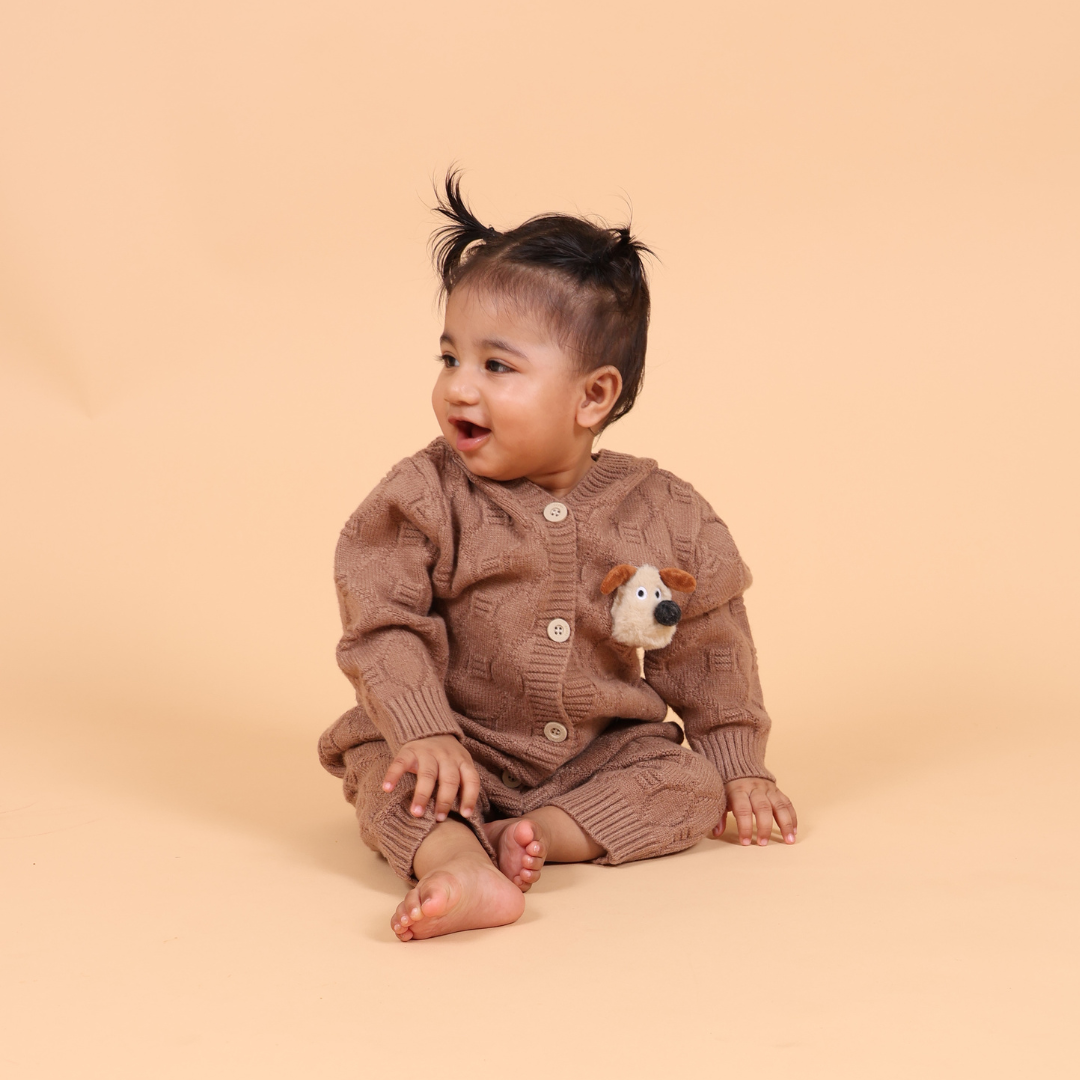 Brown Puppy Hooded Knitted Romper