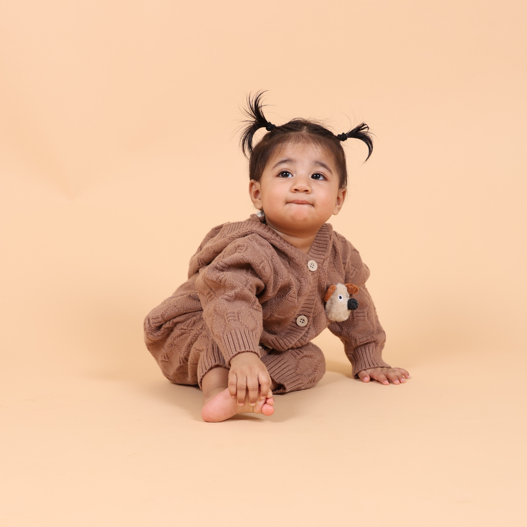 Brown Puppy Hooded Knitted Winter Romper