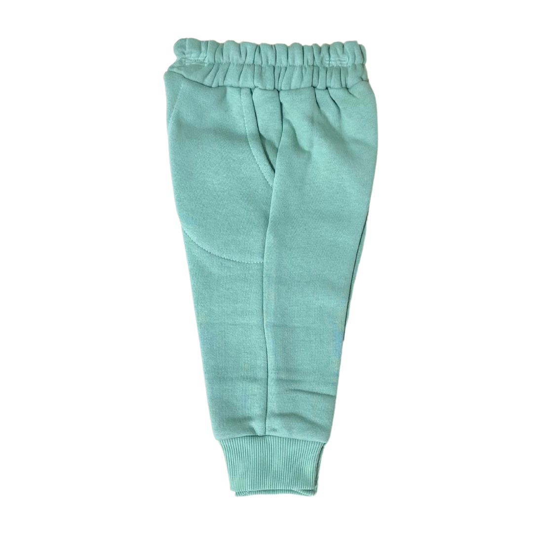 Green Solid Joggers